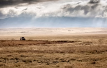 The Ngorongoro Crater is home to more than 25,000 large animals, including many of Africa’s most iconic species. Visitors have a high chance of spotting the famous Big Five in a single day..