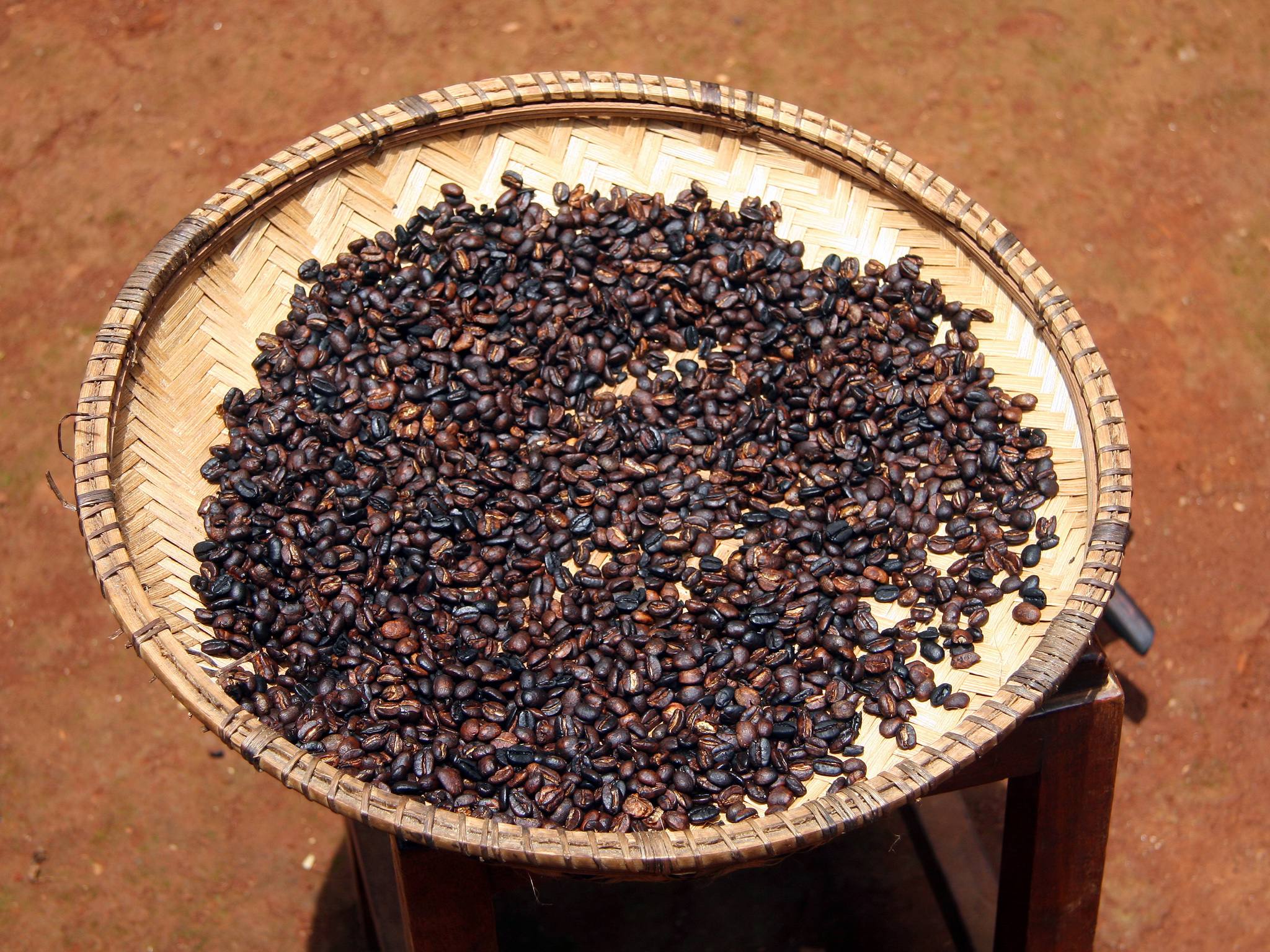 Materuni_Waterfalls_Roated_Coffee_Beans